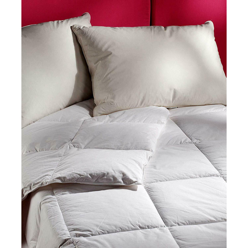 Alwyn Home Summer Down Alternative Comforter & Reviews Wayfair
